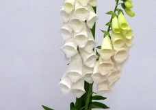 P1230679