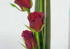 P1230681