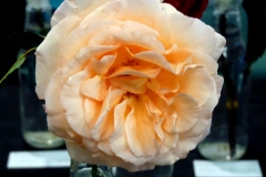 P1230697