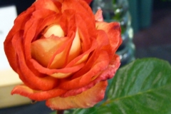 P1230702