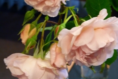 P1230733