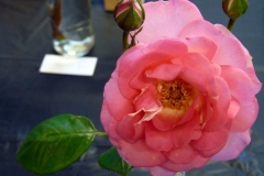 P1230735