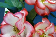 P1230736
