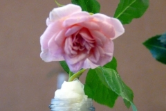 P1230792