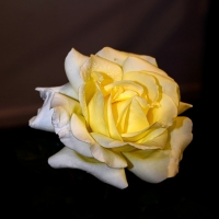 class-1_JDS7409