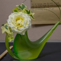 class-29-Judy-Keast_Only-a Rose_JDS7393