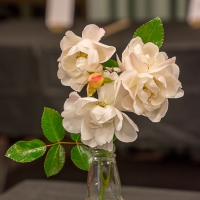kathy-bolliger-one-cut-stem_class-9-JDS7443