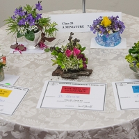 miniatures_JDS7403