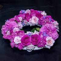 susan-wyndham_class-26-floral-art-first-prize-JDS7388