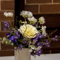 arrangement2_JDS3193