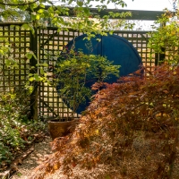 2019 Highland Garden Society Bowral Friendship garden