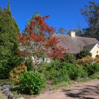 2019 Highland Garden Society Bowral Friendship garden