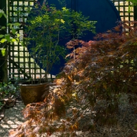 2019 Highland Garden Society Bowral Friendship garden