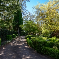 2019 Highland Garden Society Bowral Friendship garden