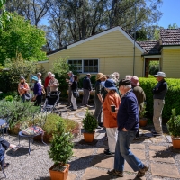 2019 Highland Garden Society Bowral Friendship garden