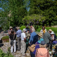 2019 Highland Garden Society Bowral Friendship garden