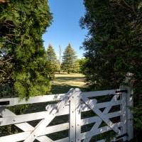 2019 Highland Garden Society Bowral Friendship garden