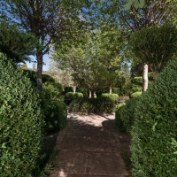 2019 Highland Garden Society Bowral Friendship garden