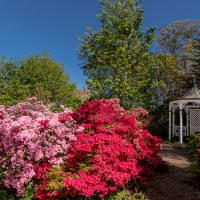 2019 Highland Garden Society Bowral Friendship garden