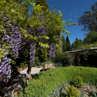 2019 Highland Garden Society Bowral Friendship garden