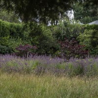 Hopewood House