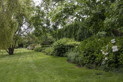 annuals_JDS0381