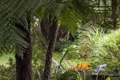 microclimate_JDS0408
