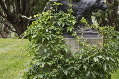 statues-abound_JDS0415