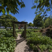 Return Visit to garden of Les & Elaiune Musgrave