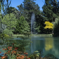 Return Visit to garden of Les & Elaiune Musgrave