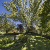 Return Visit to garden of Les & Elaiune Musgrave