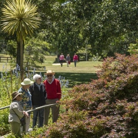 Return Visit to garden of Les & Elaiune Musgrave