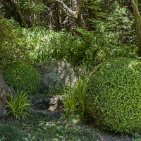 Return Visit to garden of Les & Elaiune Musgrave