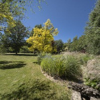 Return Visit to garden of Les & Elaiune Musgrave