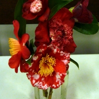P1240746