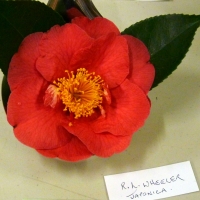 P1240749