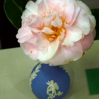 P1240750