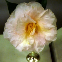 P1240751
