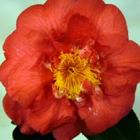 P1240755