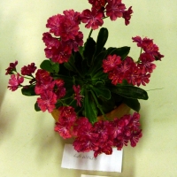 P1240764