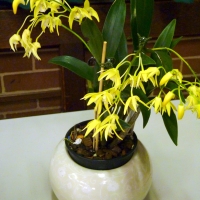 P1240766