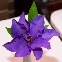 Other6_JDS7982