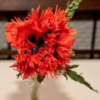 other-3_JDS7985