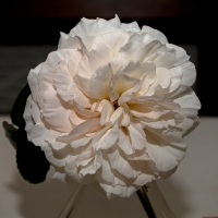 other1_JDS7987