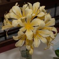 other2_JDS7986