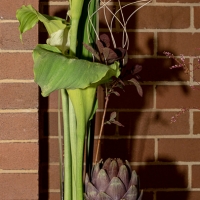prize-winning-floral-art_JDS7993