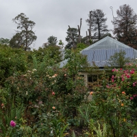 Rose Cottage