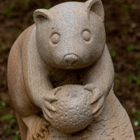 January 2020 HGSB Friendship Garden at Clive West, Berrima