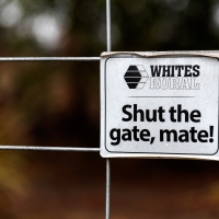 January 2020 HGSB Friendship Garden at Clive West, Berrima